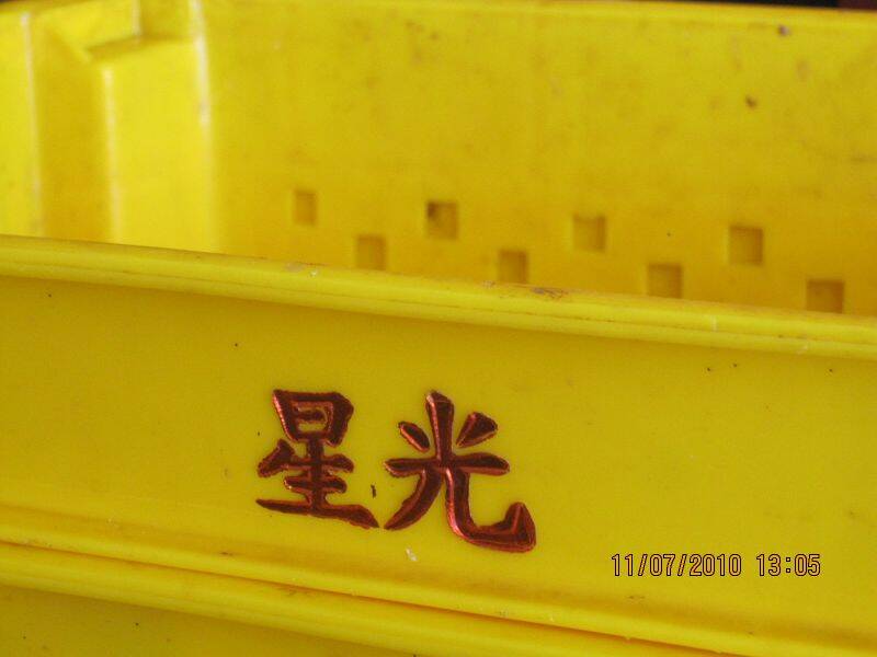 IMG_9869.jpg