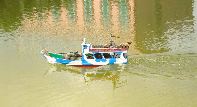 海豹4.jpg