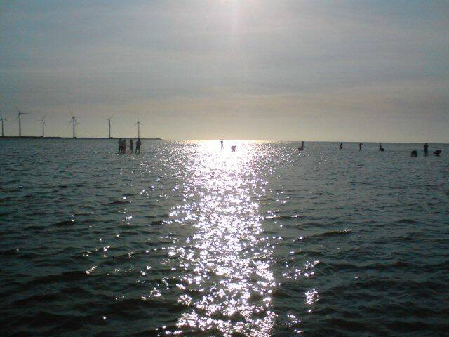 DSC02309.JPG