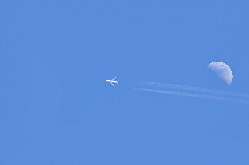 DSC_1127.JPG