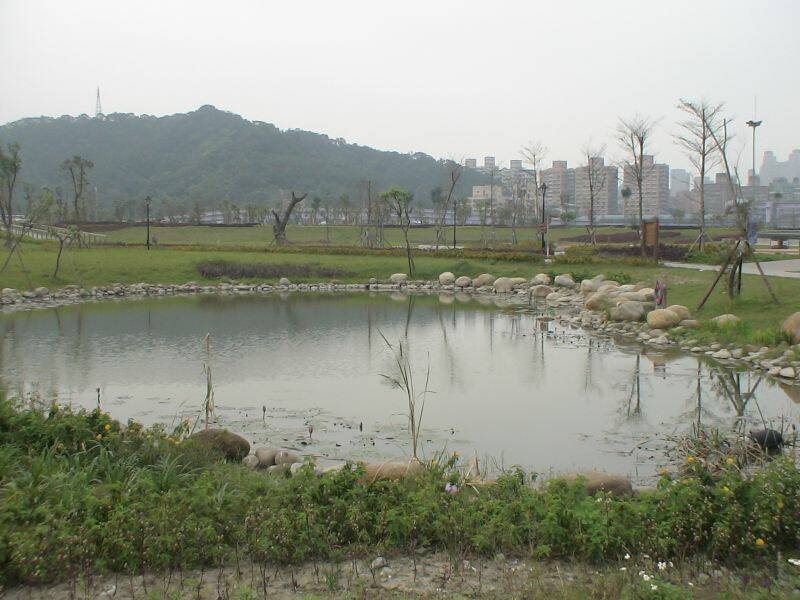 DSC02978.JPG
