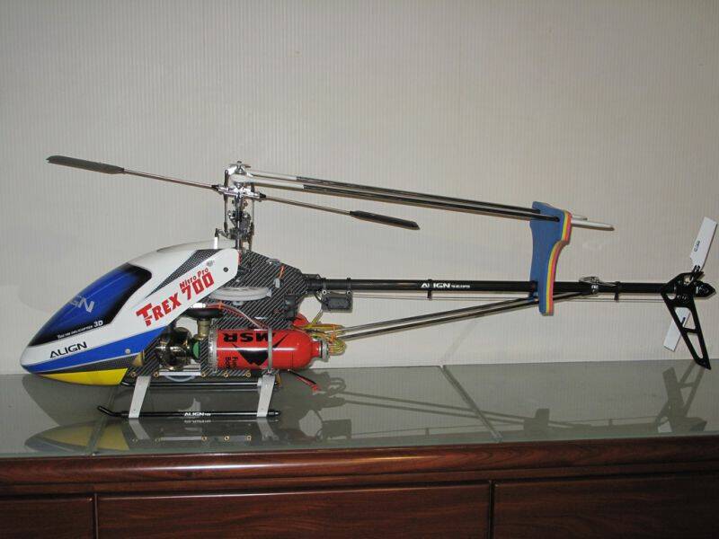 Ready to fly.jpg
