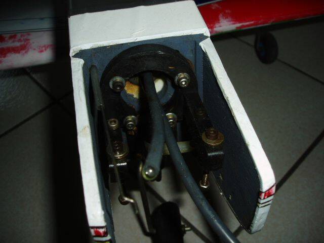 P1010050.JPG