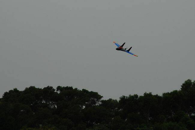 nEO_IMG_DSC_5182.jpg