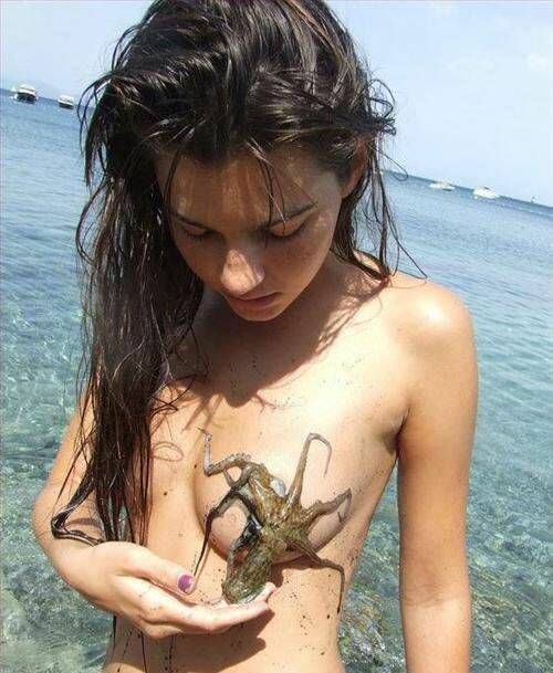 章魚哥保羅.jpg