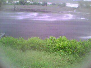 IMG0050A.jpg