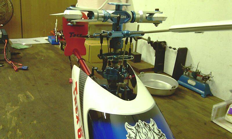 IMAG0483.jpg