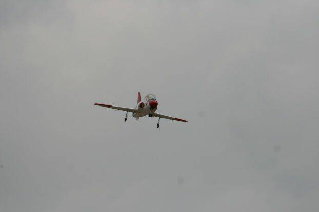 T-3.jpg