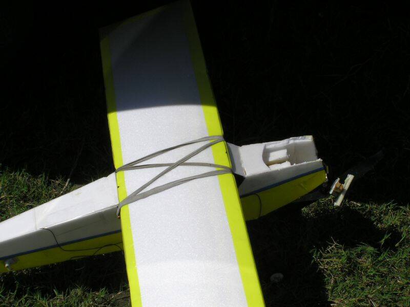 與鳥機空中相撞