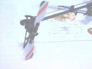 IMG0067A.jpg
