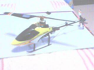 IMG0064A.jpg