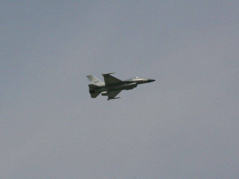 IMG_1325.jpg