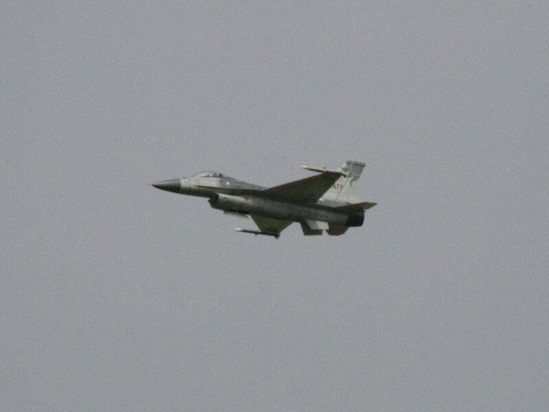 IMG_1324.jpg