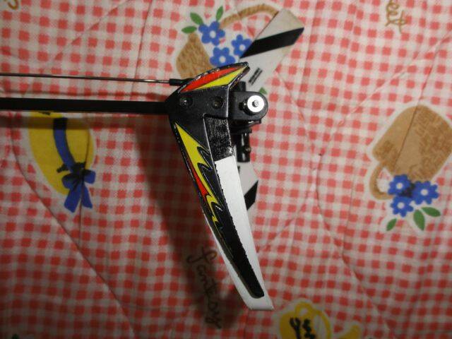 DSC00095.JPG