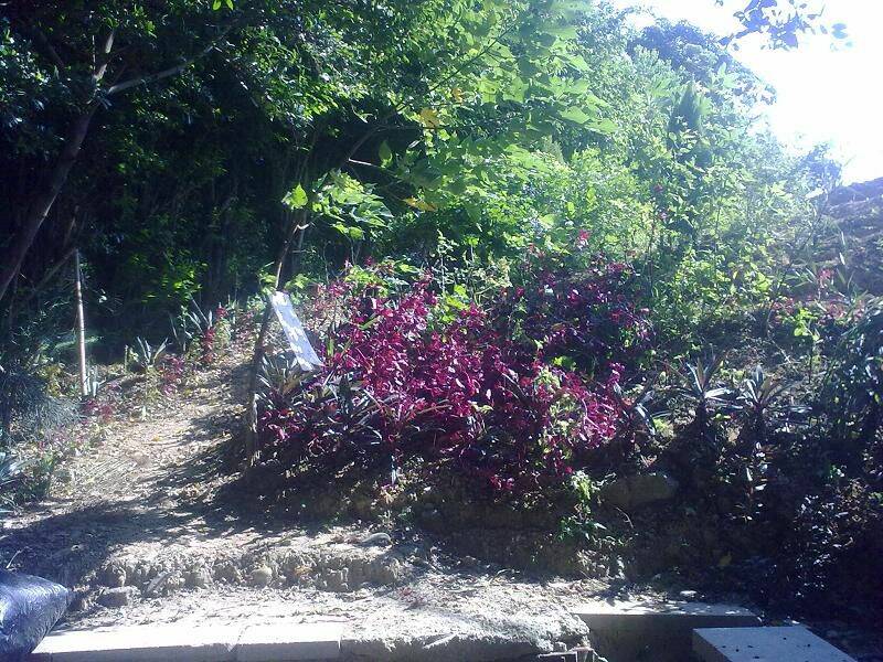 201008051951.jpg