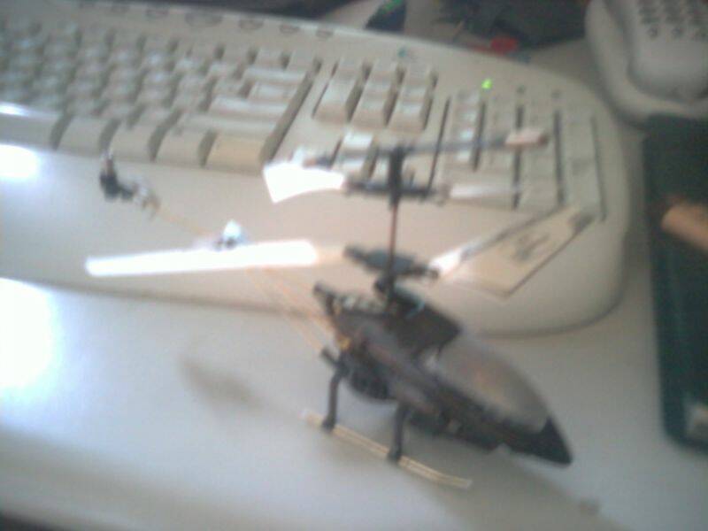 P11-08-10_09.47.jpg