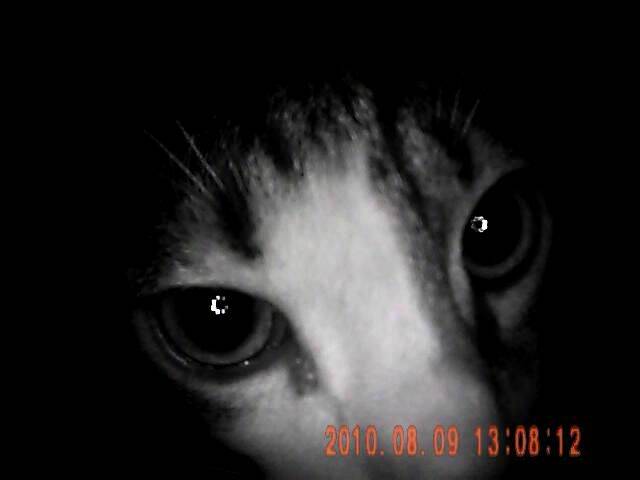 20100809132445.jpg