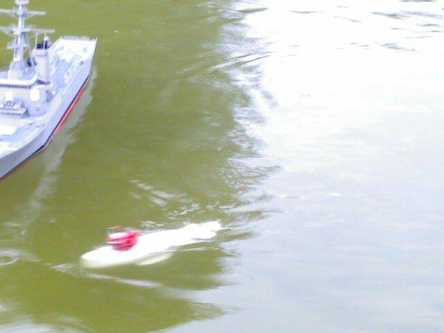 IMG446.jpg