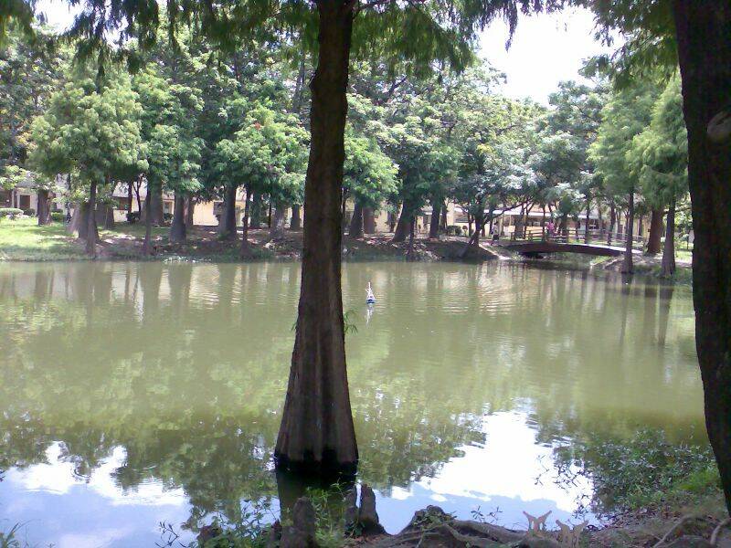 南市文化中心前的某紀念公園