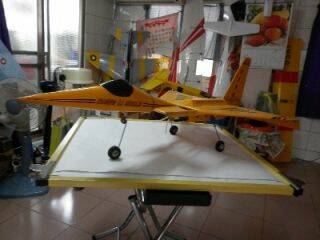 P1000226-2.JPG