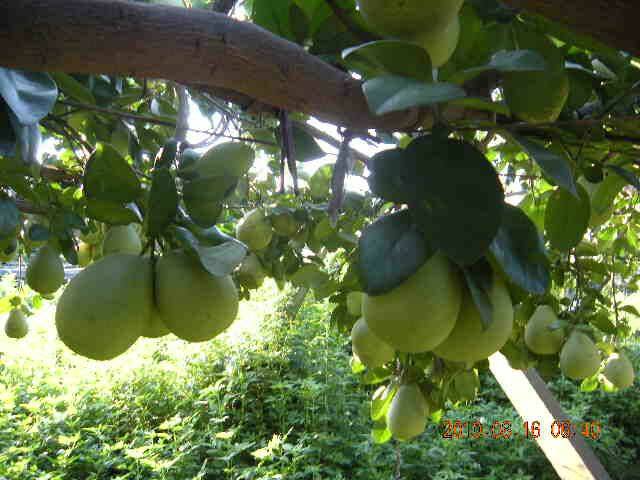 SSCN0250.JPG