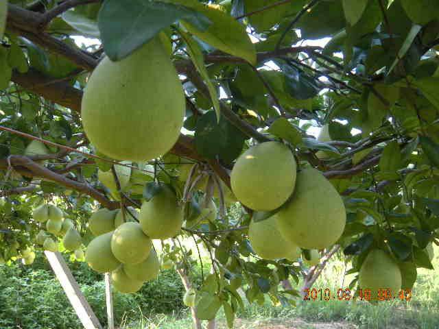 SSCN0251.JPG