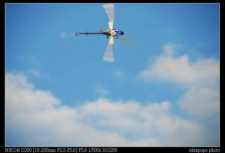 D20_6131.jpg
