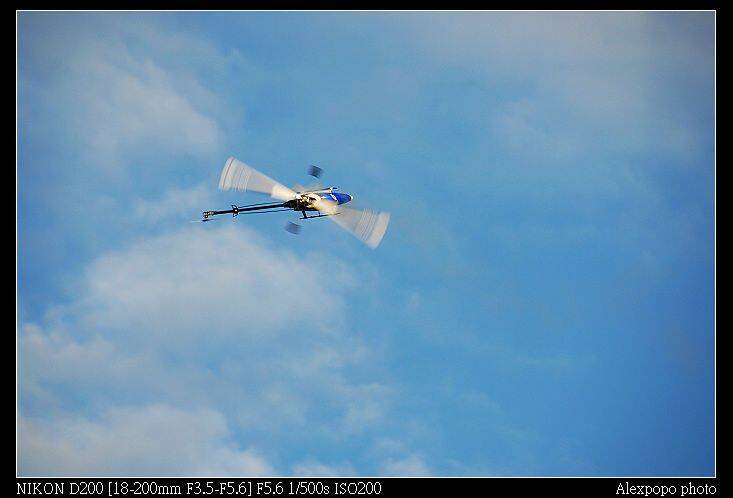 D20_6135.jpg
