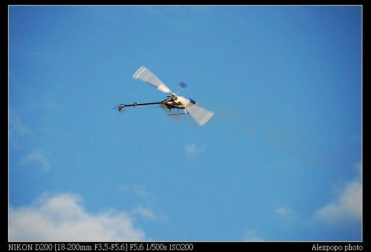 D20_6132.jpg