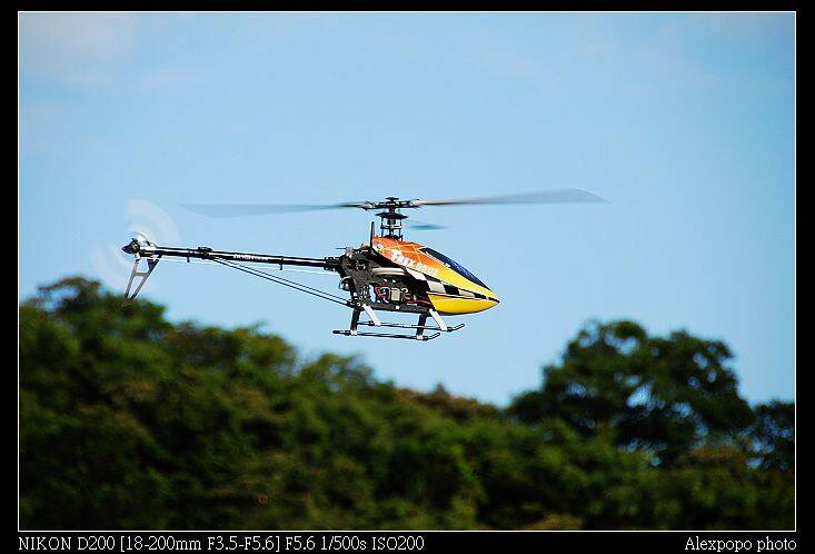 D20_6087.jpg