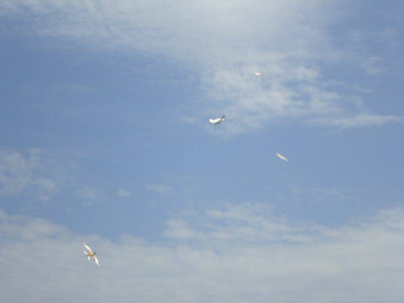 DSC04352.JPG