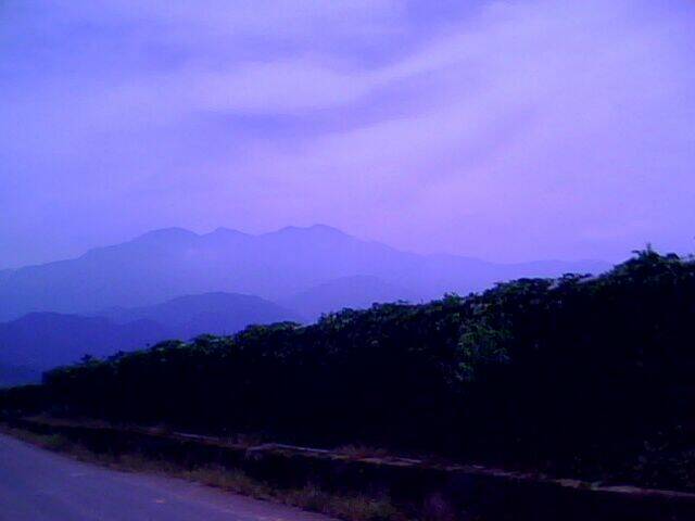 IMG0042A.jpg