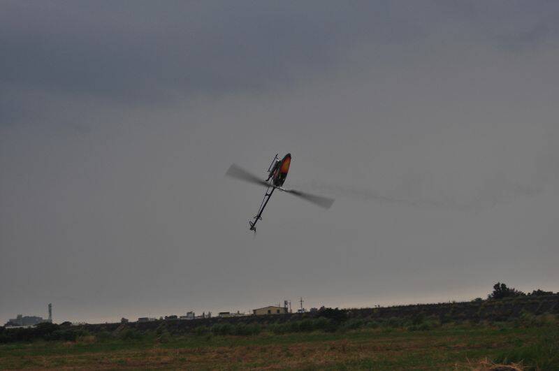 DSC_0497.JPG