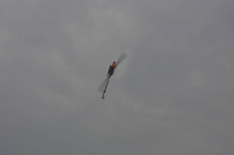 DSC_0480.JPG