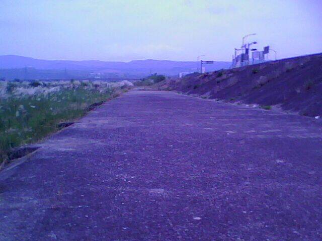 IMG0048A.jpg