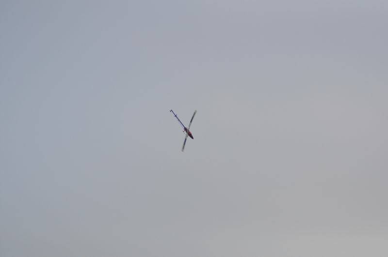 DSC_0373.JPG