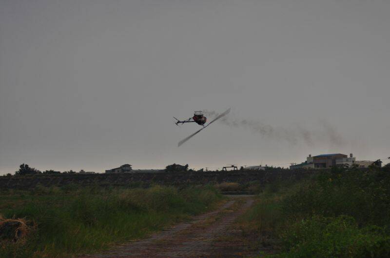 DSC_0469.JPG