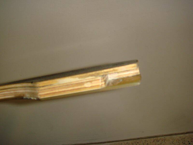 m_DSC05246.jpg