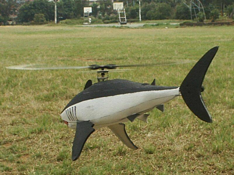 13.JPG