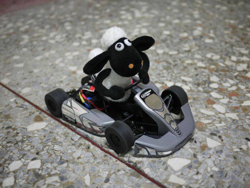 20100614.jpg