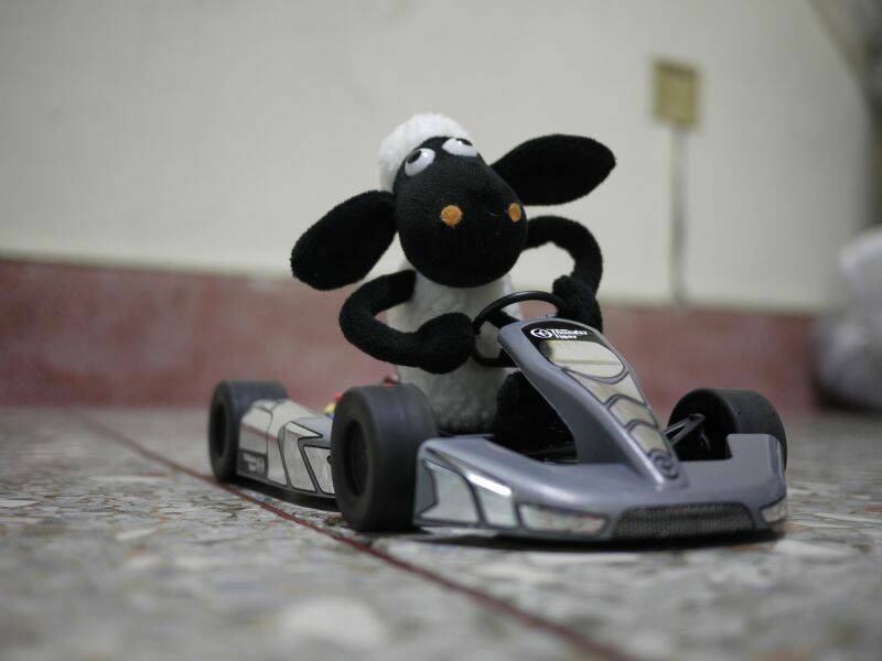 20100613.jpg