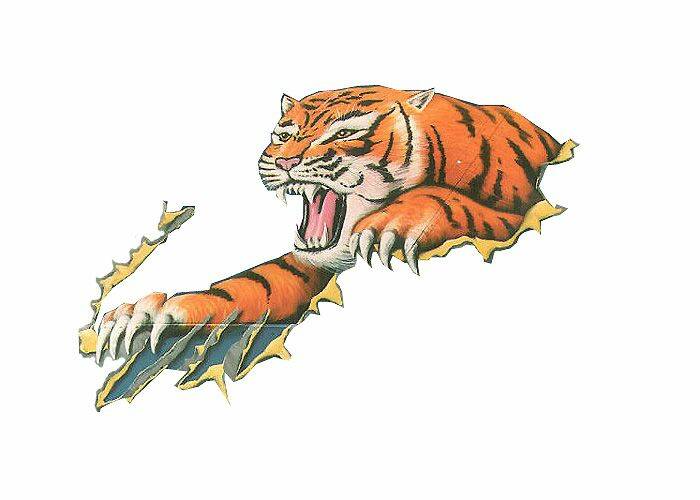 tiger-1.jpg