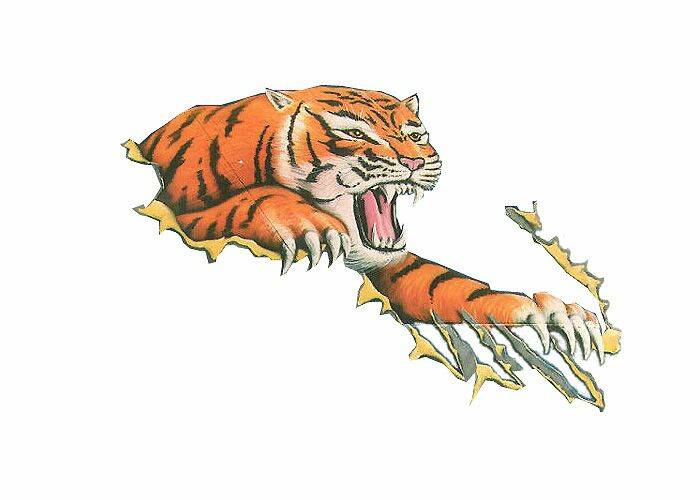 tiger.jpg