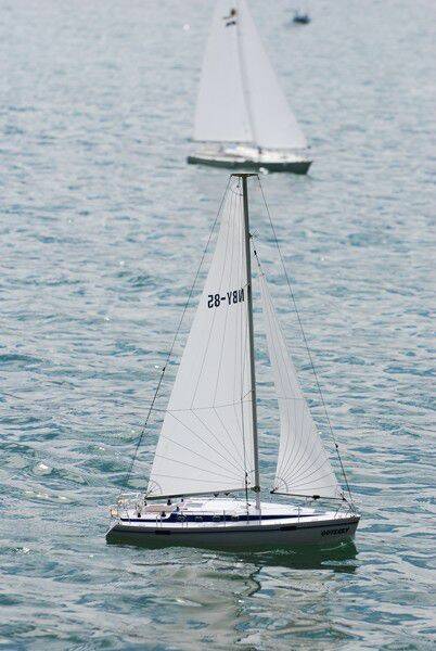 m_DSC_0059.jpg