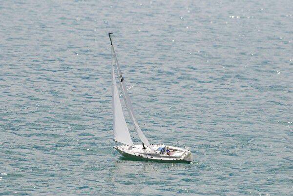 m_DSC_0045.jpg