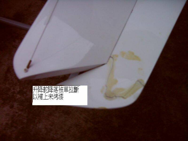 ST830898.JPG