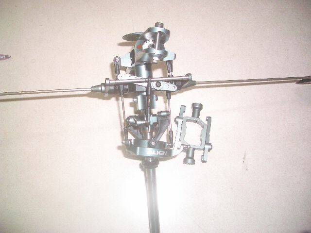 IMGP0371.JPG