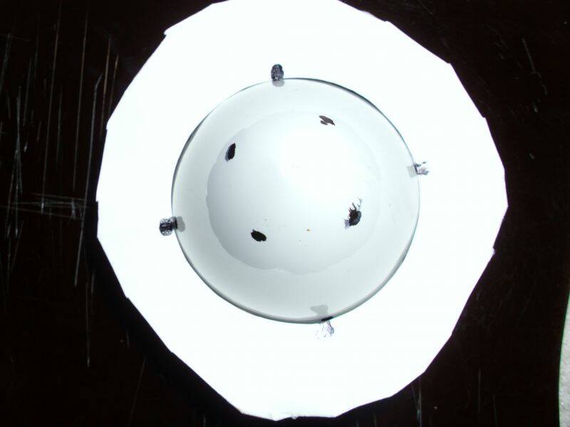 DSCI0119.JPG