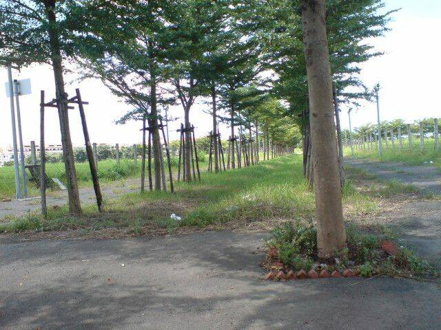 DSC00752.JPG