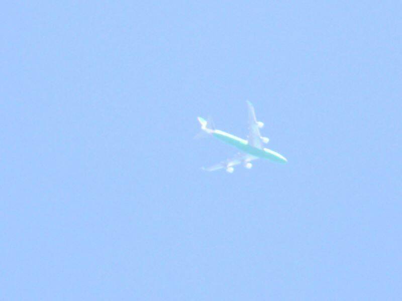 P9120105.JPG